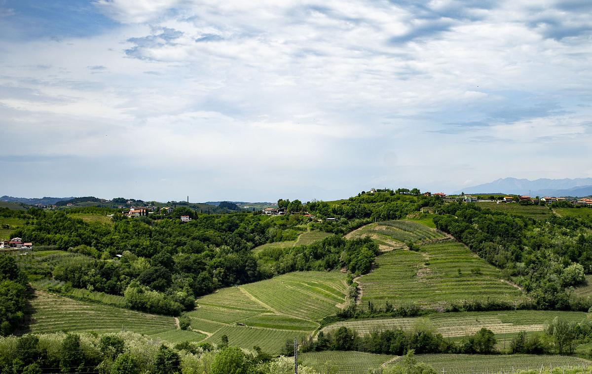 Goriška brda | Slika je simbolična. | Foto Ana Kovač