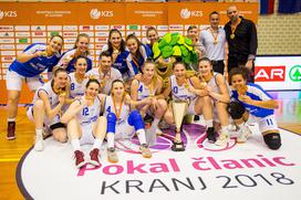 Triglav Celje finale pokal