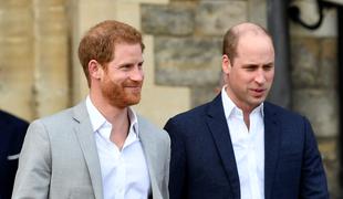 William in Harry bosta imela ločena govora ob razkritju Dianinega kipa