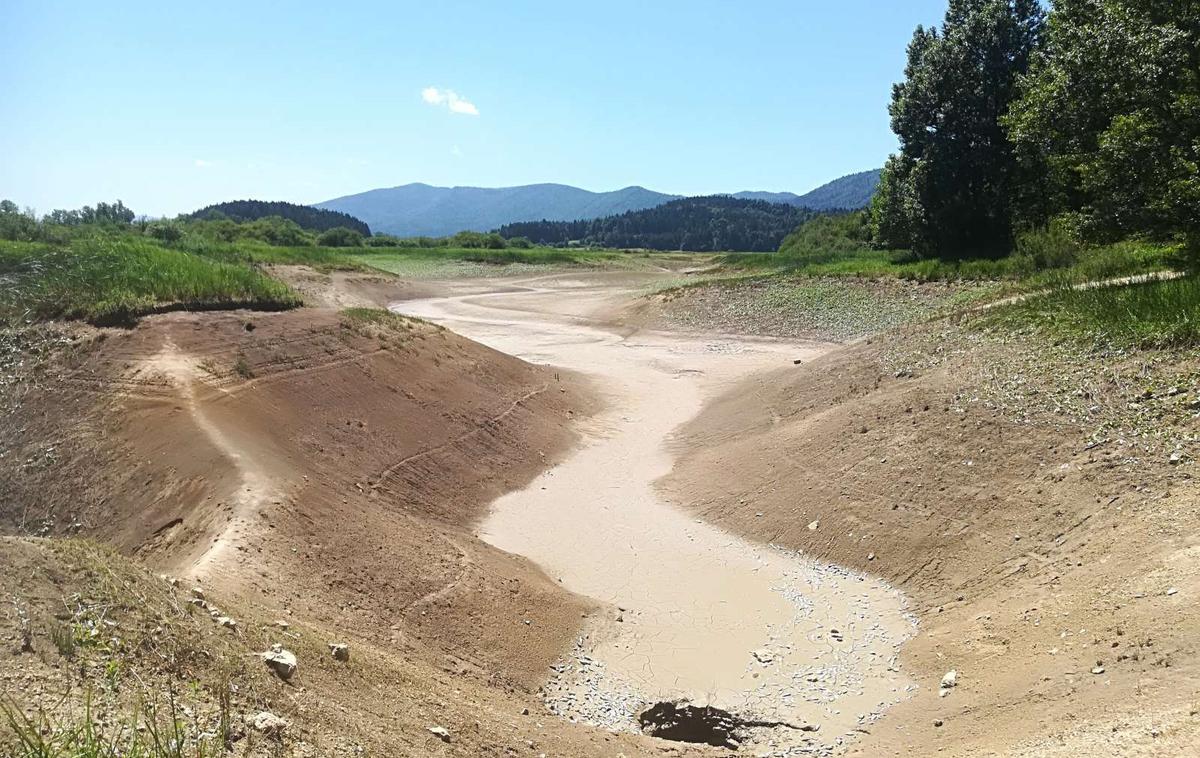 Cerkniško jezero | Izsušenost jezera ogroža tamkajšnje živalske vrste.  | Foto STA