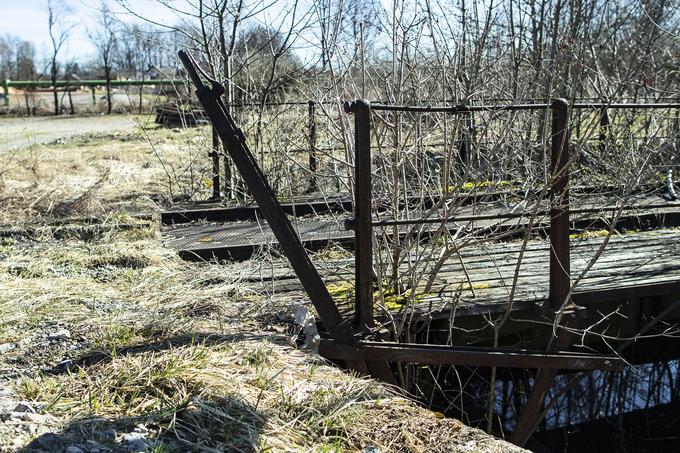 Ob stoletnici kočevske proge je kočevska okretnica uspešno "obrnila" slovensko muzejsko parno lokomotivo – ali bo uspelo rešiti ta spomenik tehnične dediščine pred dokončnim propadom? | Foto: Ana Kovač