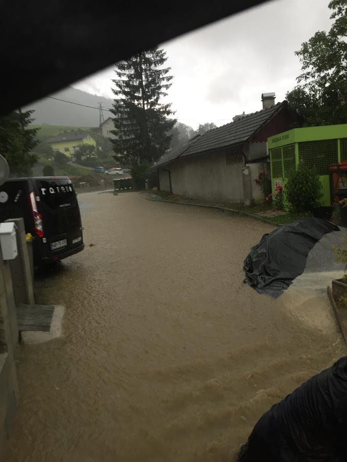 Kisovec | Foto: Blaž Gračar