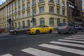 ford mustang karavana neukrotljivih avtosalon