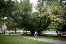 Miklošičev park