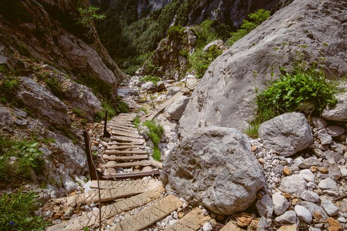 Pot na Okrešelj pred obnovo | Foto: 