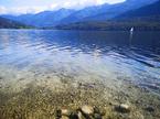 Bohinjsko jezero