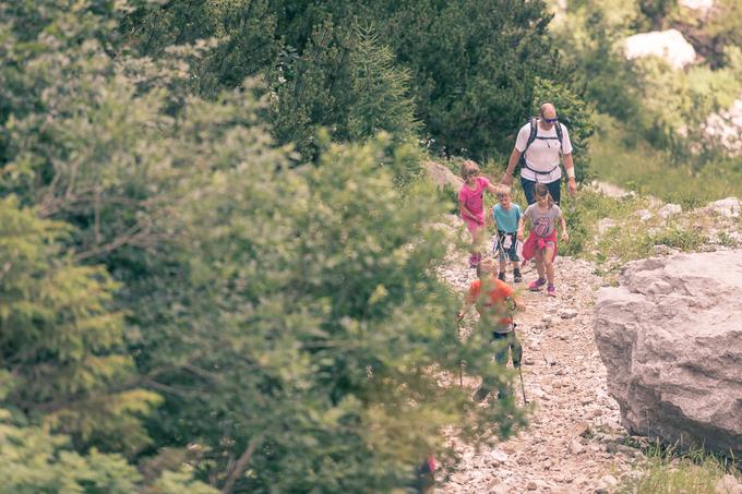 Gremo v hribe Zelenica 2017 | Foto: Sebastian Plavec