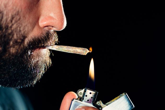 Marihuana, kanabis, džojnt, droge, THC | Ob veliki uporabi konoplje lahko testi THC v urinu zaznajo še mesec dni, v krvi pa okoli tri tedne. Pri manjši porabi se časovni interval zmanjša (več v spodnji tabeli). | Foto Reuters