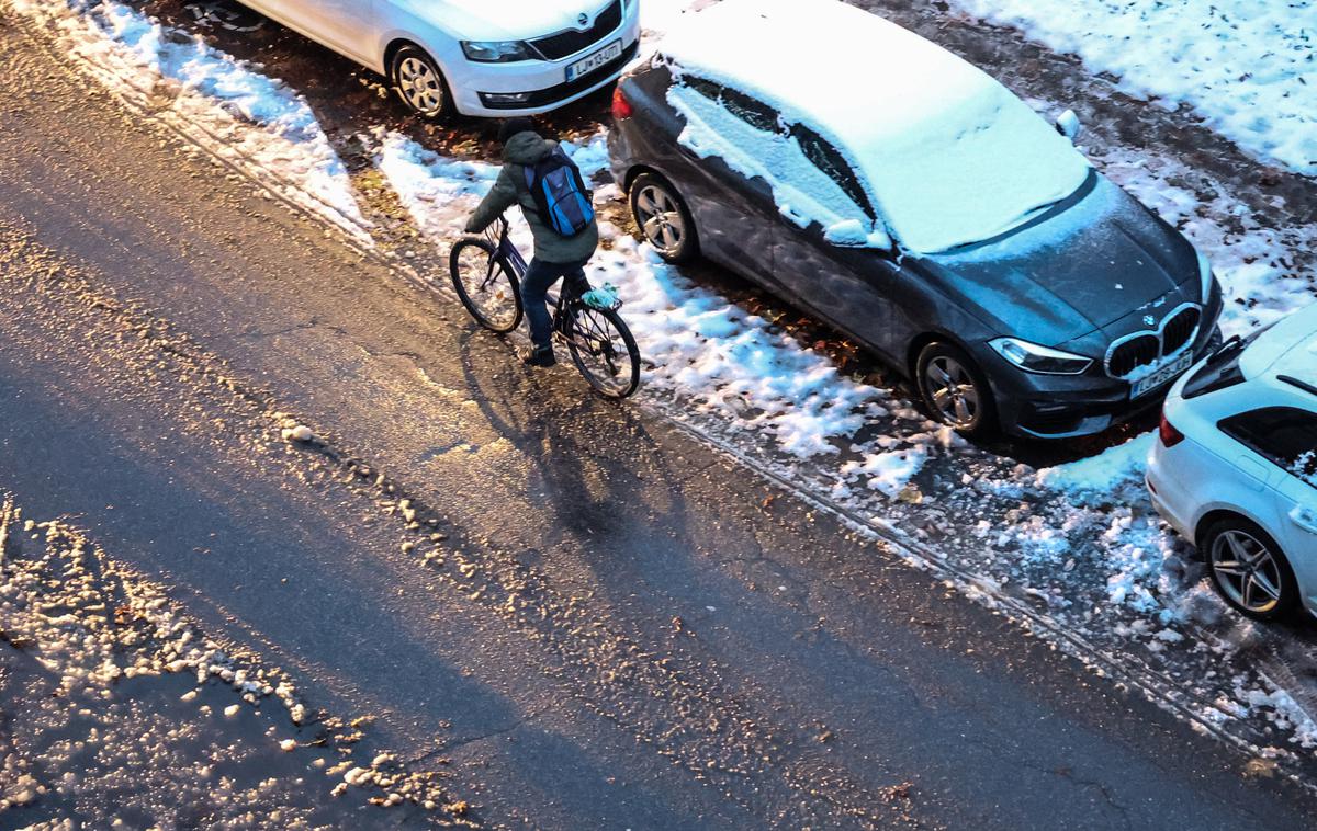 Sneg | V noči na ponedeljek so se snega razveselili tudi v Ljubljani. | Foto Ana Kovač