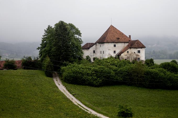 Grad Škrljevo ob istoimenski vasi nadzoruje dolino in čaka boljše čase. | Foto: Ana Kovač