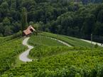 Turistična kmetija Dreisiebner, Srce med vinogradi, Špičnik