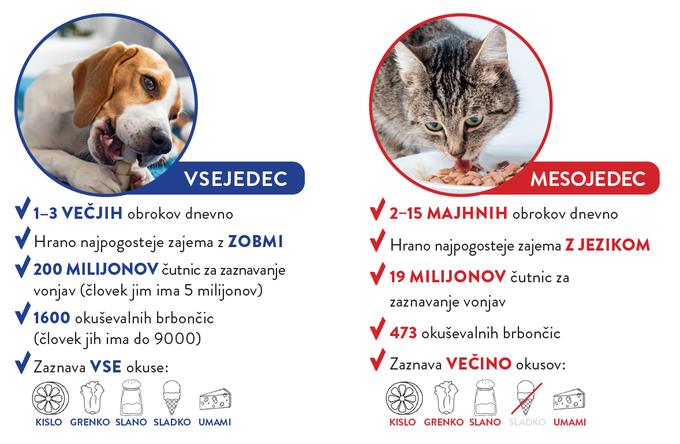 Infografika-razlike-v-prehranjevanju-final | Foto: Spar