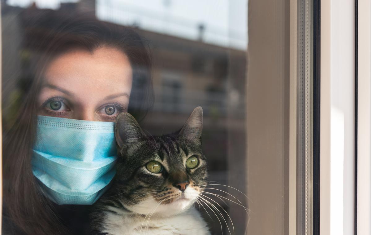 Karantena. Osamljenost. Koronavirus. Izolacija. | Sosednja Avstrija je s 1. avgustom odpravila obvezno izolacijo za okužene z novim koronavirusom. | Foto Getty Images