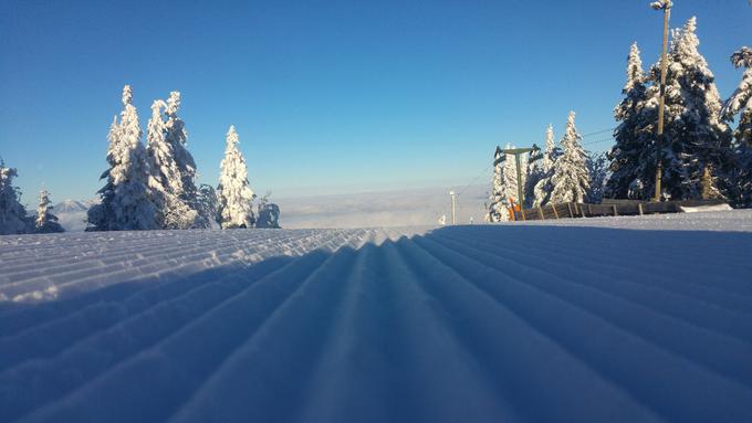 Podlaga je vrhunsko pripravljena. | Foto: 