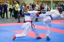 Karate Slovenija Open 2018