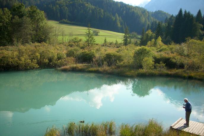 Zelenci | Foto Srdjan Cvjetović