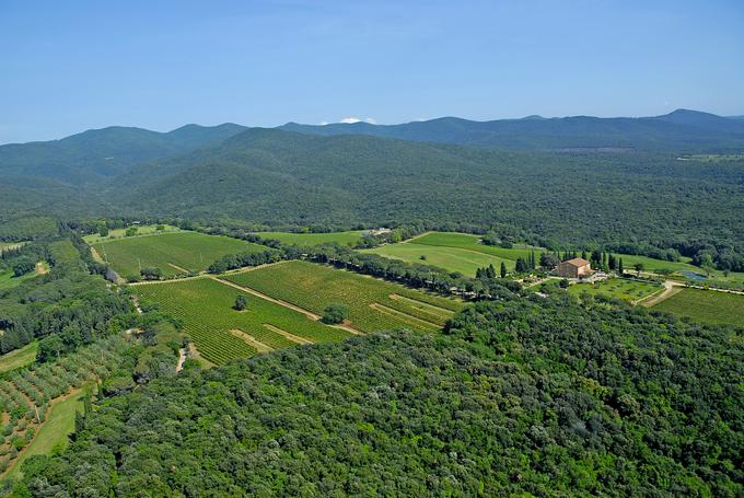 Tenuta di Biserno | Foto: Tenuta di Biserno