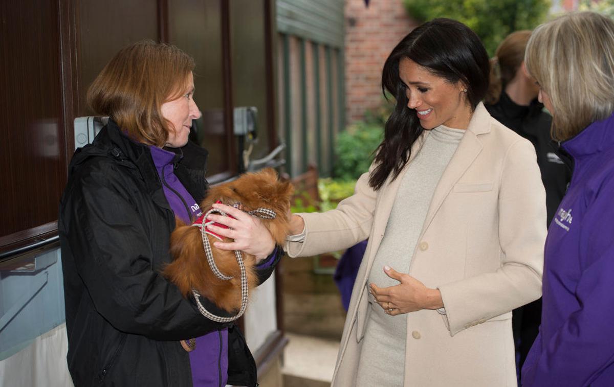 Meghan Markle | Meghan je obiskala zavetišče za zapuščene živali. | Foto Getty Images