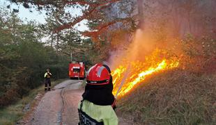 Vodja intervencije: Požar je pod nadzorom, a do končnega je še daleč #foto #video