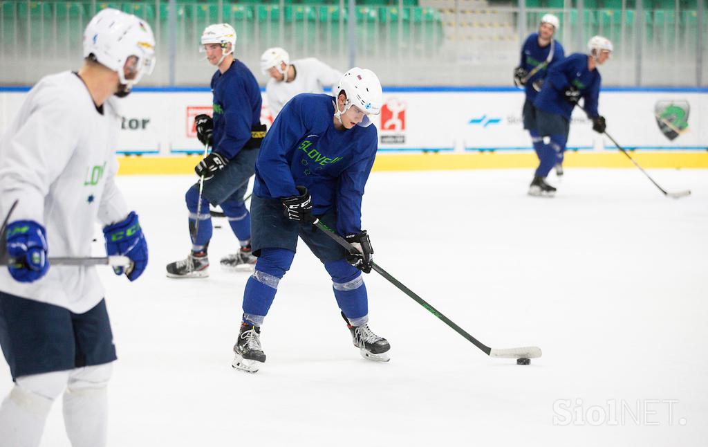 slovenska hokejska reprezentanca, priprave na turnir v Tivoliju