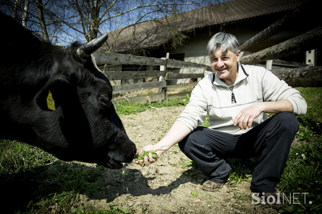 Stanko Valpatič ekološka kmetija vegan veganski izdelki Za naravo Društvo za osvoboditev živali krava veganstvo hrana