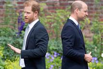 princ Harry, princ William