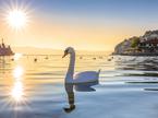 Ohrid, Ohridsko jezero