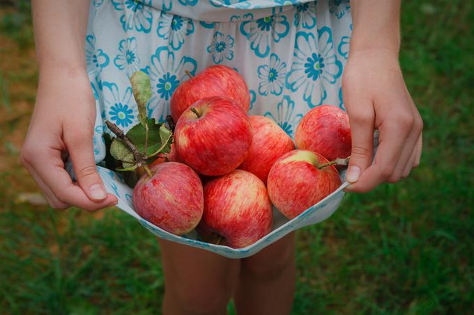 Počitniško delo je koristno tudi zato, da mladi ne preživijo celega dneva pred različnimi zasloni. | Foto: Thinkstock