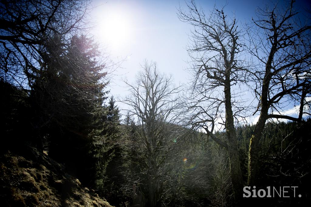 Turistična kmetija Kladje Andreja Henrik Podlesnik Ljubno