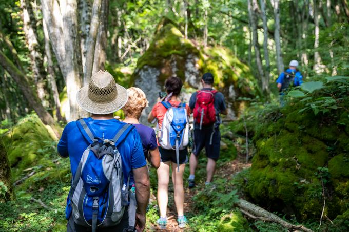 Julijana Trail | Foto: Mitja Sodja (Bohinj.si)