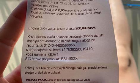 Ker pes v morju ni bil na povodcu, so jo oglobili z 200 evri