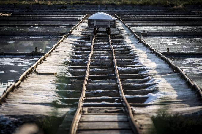 Sol iz Sečoveljskih solin je končni izdelek, a tudi pomembna sestavina drugih prehranskih in kozmetičnih izdelkov. | Foto: Bojan Puhek