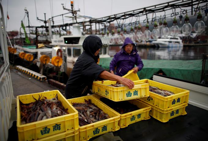 lignji, Japonska | Foto: Reuters