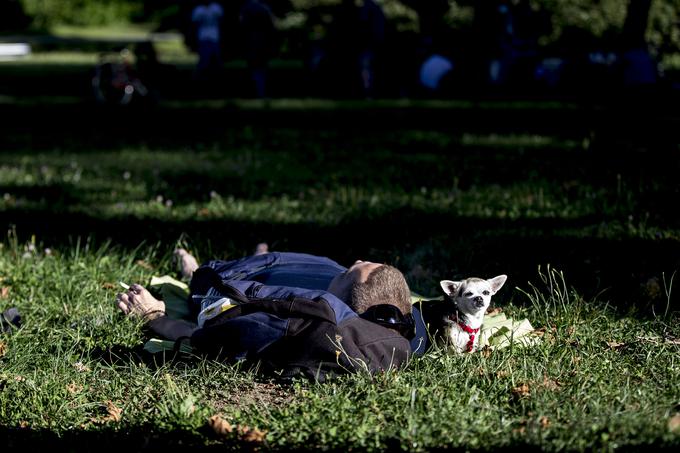 Nastavljanje sončnim žarkom z najboljšim prijateljem ... | Foto: Ana Kovač