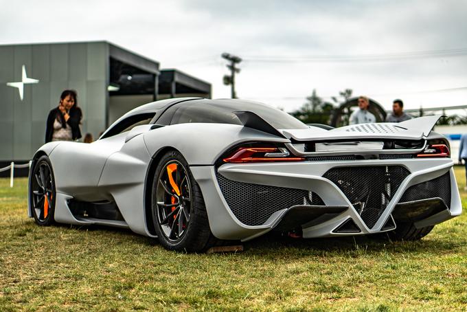 SSC tuatara | Foto: SSC