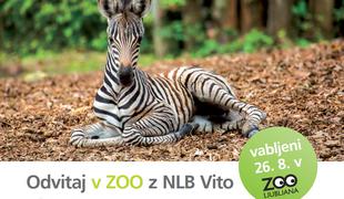 Odvitaj v ZOO z NLB Vito