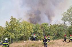 Na goriškem Krasu posadili 3.100 avtohtonih sadik