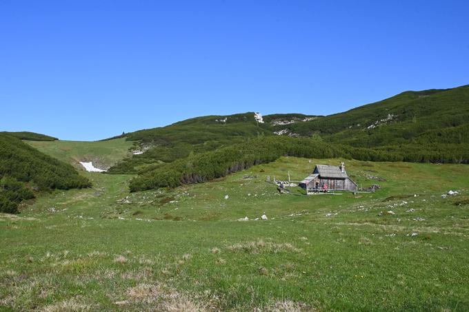 Planina Dolge trate. Pohod nadaljujemo levo vzdolž pašnikov. | Foto: Matej Podgoršek