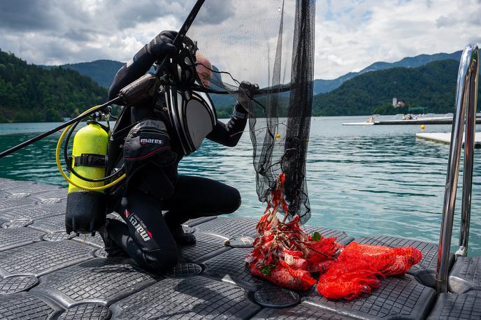 Blejsko jezero | Čistilna akcija Blejskega jezera poteka že tri desetletja in velja za najstarejšo okoljsko akcijo v Sloveniji. | Foto STA