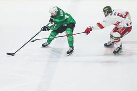 IceHL: HK SŽ Olimpija - Bolzano