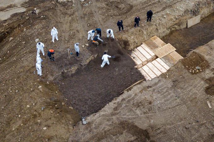 Množično grobišče na otoku Hart (ZDA) | Foto: Reuters