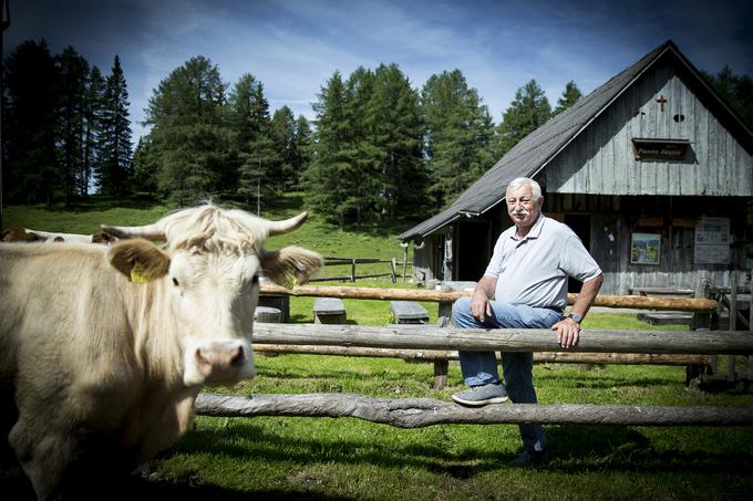 Na planini Konjščica bo čez poletje skrbel za 28 glav živine. | Foto: Ana Kovač