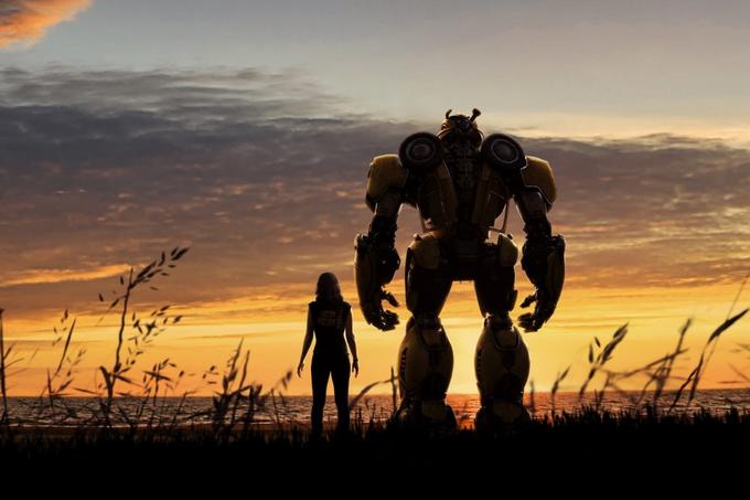 Bumblebee | Foto: 