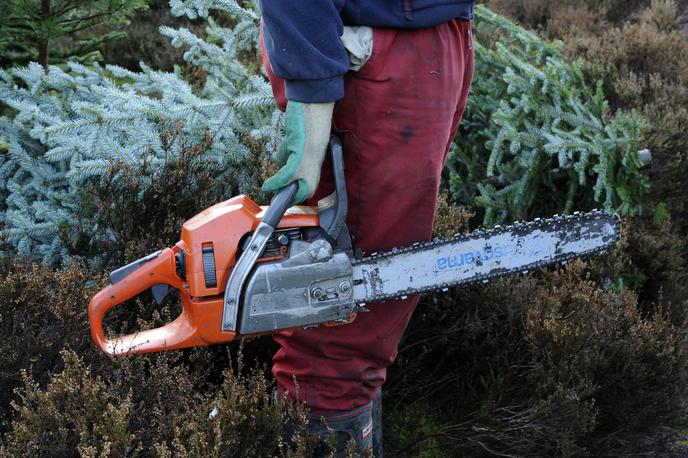 motorna žaga | Na platformi za primerjalno spletno nakupovanje Ceneje.si so Slovenci lani najpogosteje iskali izdelke iz kategorije motorne žage. | Foto Reuters