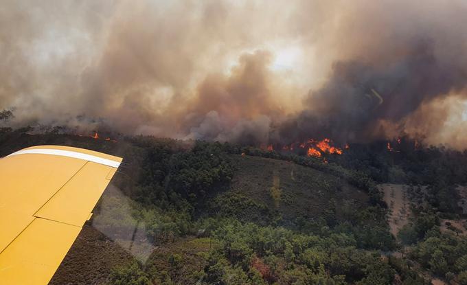 V četrtek naj bi se v Grčiji nekoliko ohladilo, napovedujejo temperature okoli 35 stopinj Celzija. | Foto: Reuters