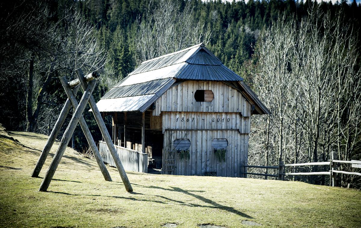 Turistična kmetija Kladje Andreja Henrik Podlesnik Ljubno | Foto Ana Kovač