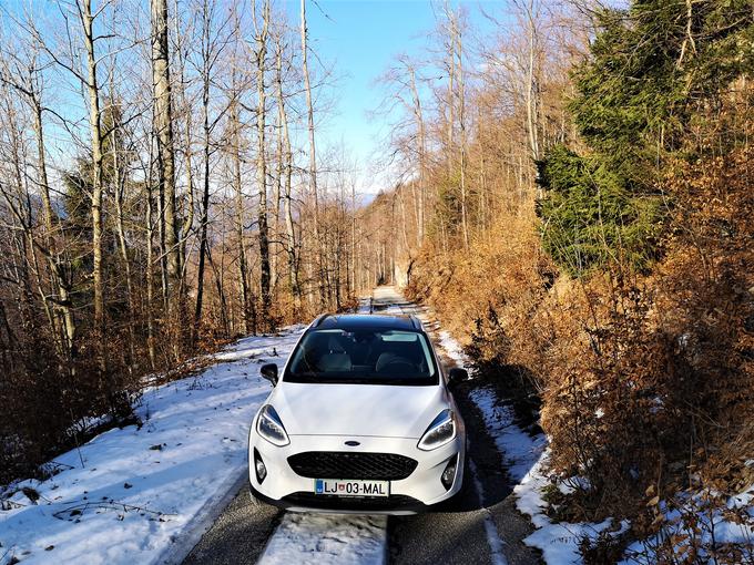 Ford fiesta active Trnovski gozd cesta | Foto: Gregor Pavšič