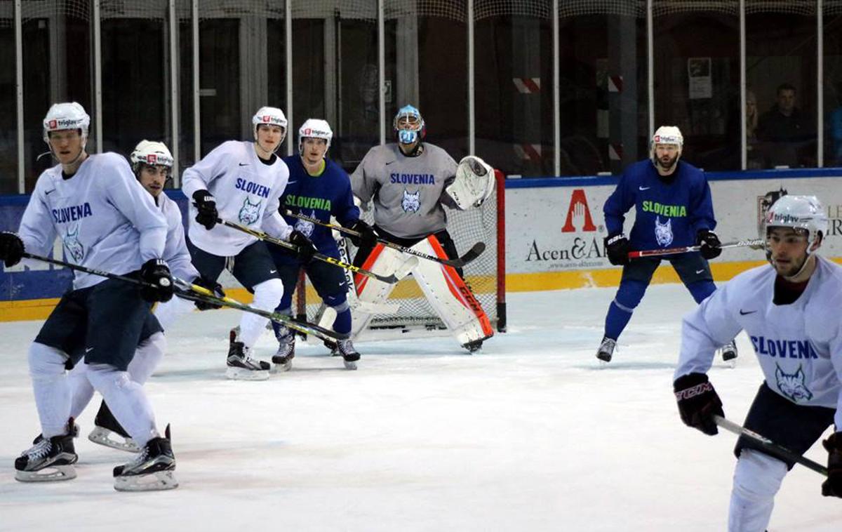 slovenska hokejska reprezentanca | Foto Hokejska zveza Slovenije