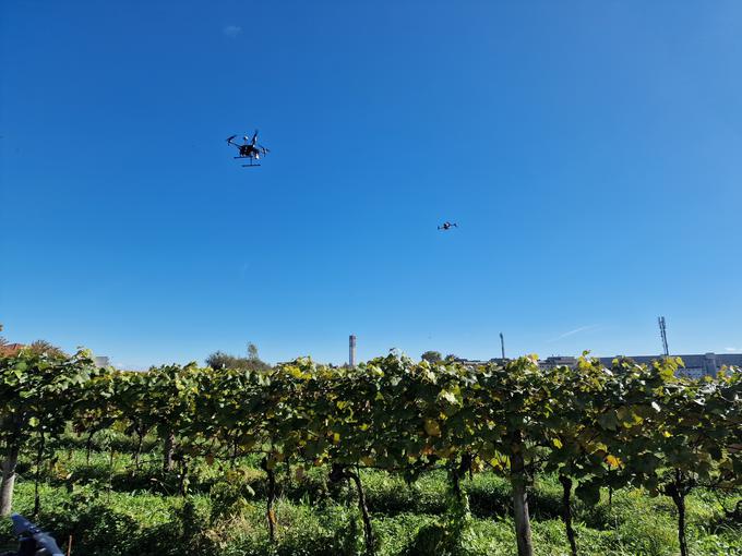 Brezpilotnika na svoji nalogi zbiranja podatkov o stanju vinograda | Foto: Srdjan Cvjetović