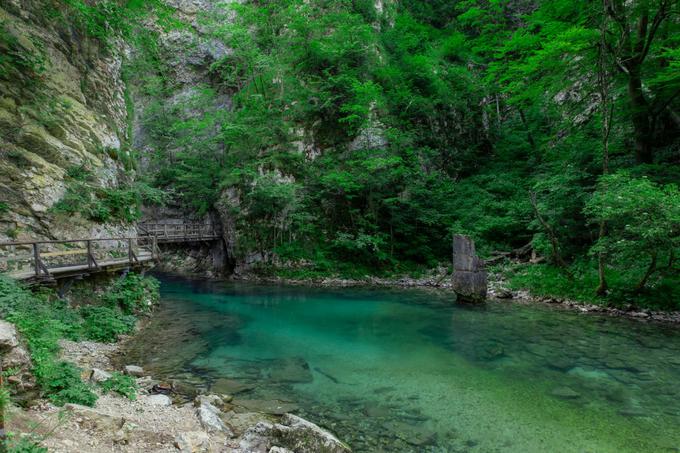 Blejski vintgar.  | Foto: Shutterstock